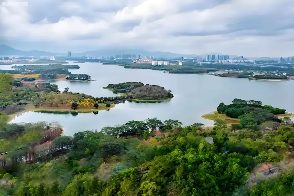东莞东莞移动宽带